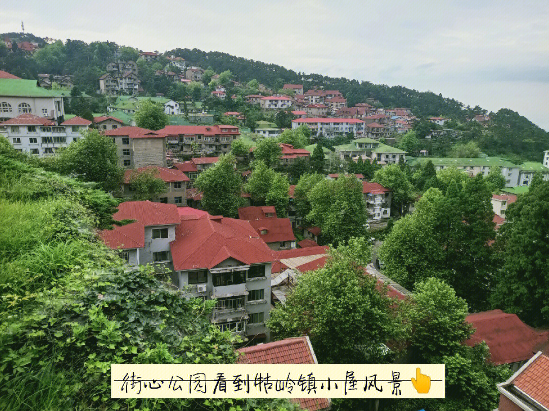庐山牯岭镇政府图片