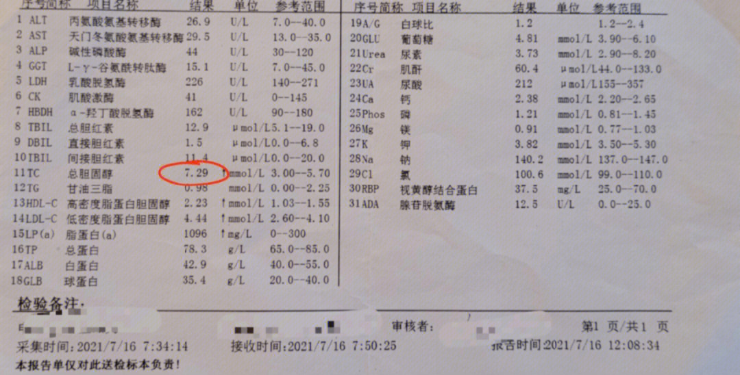 正常血脂检查图片图片