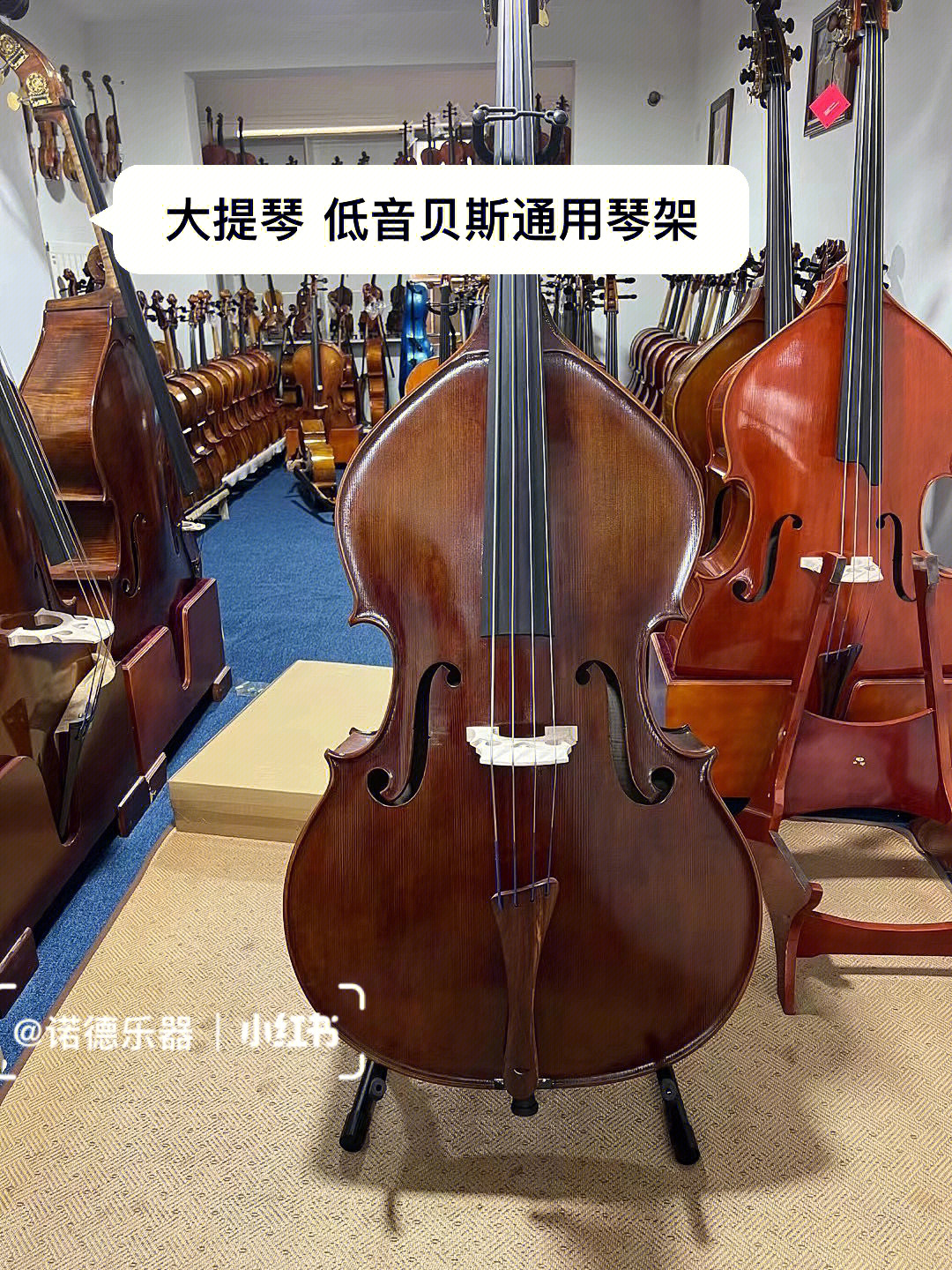 大提琴四根弦音名图图片