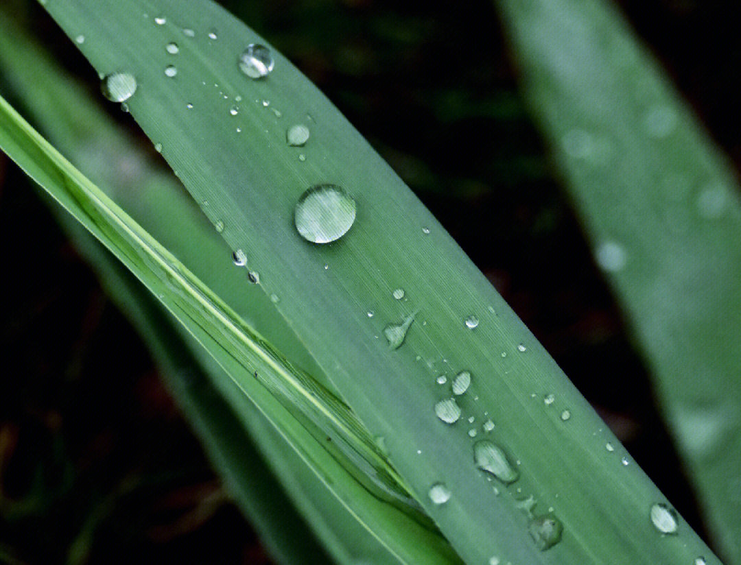 雨后的大自然