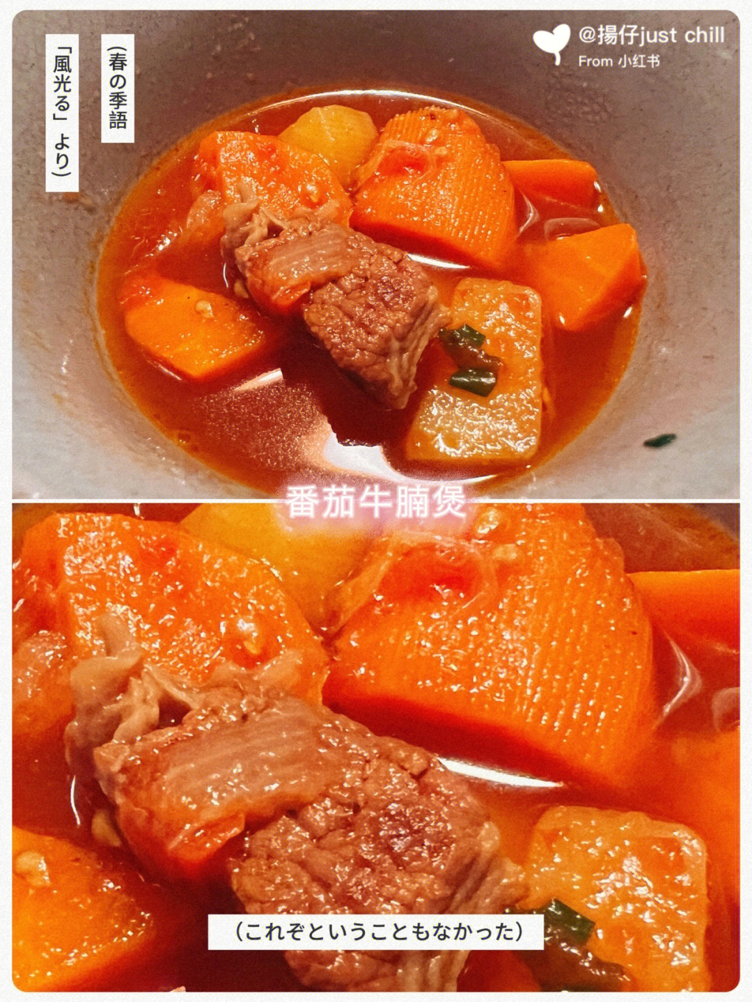 年夜番茄饺子牛腩锅图片