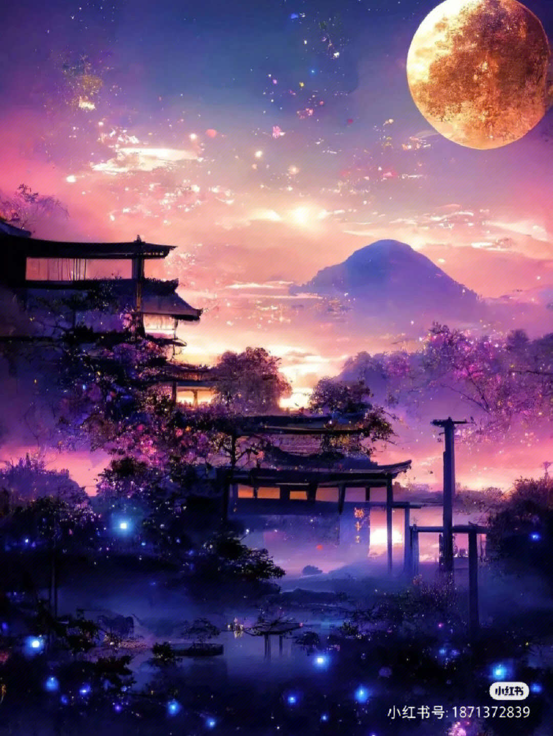 美丽的星空图片