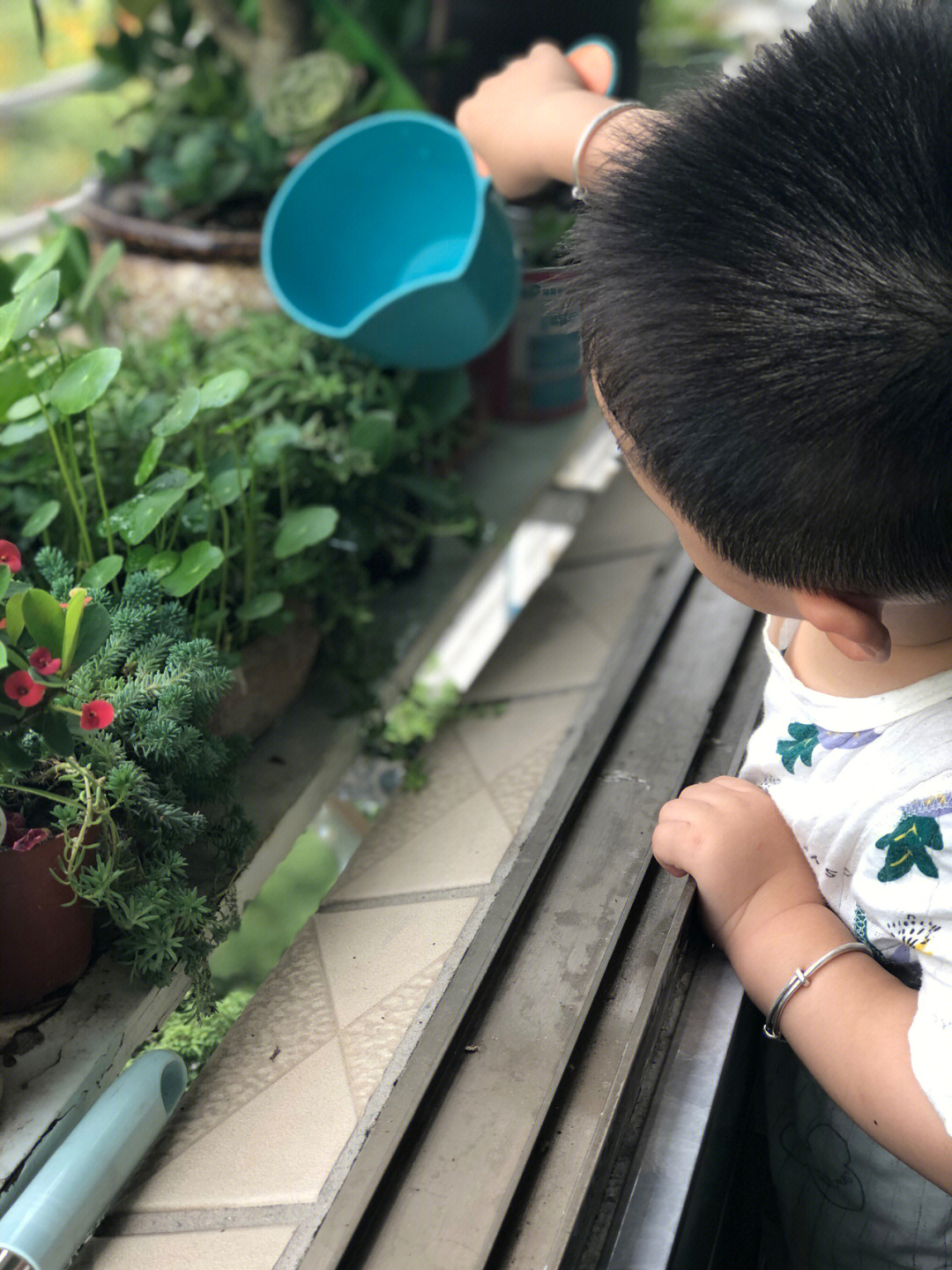 幼儿园弹唱浇花简谱图片