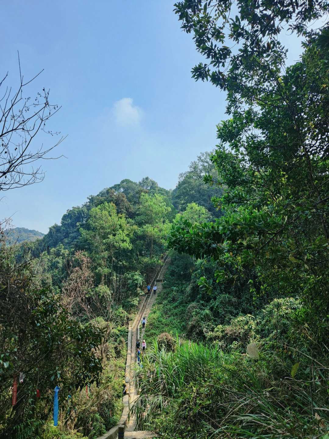 广州牛头山徒步线路图片