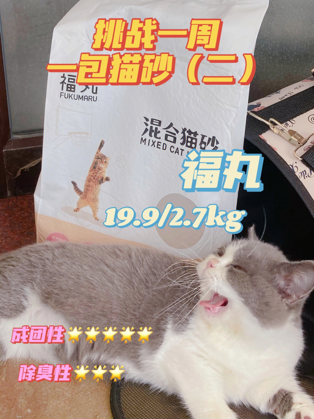 猫砂测评福丸苹果木混合猫砂78高性价比养猫