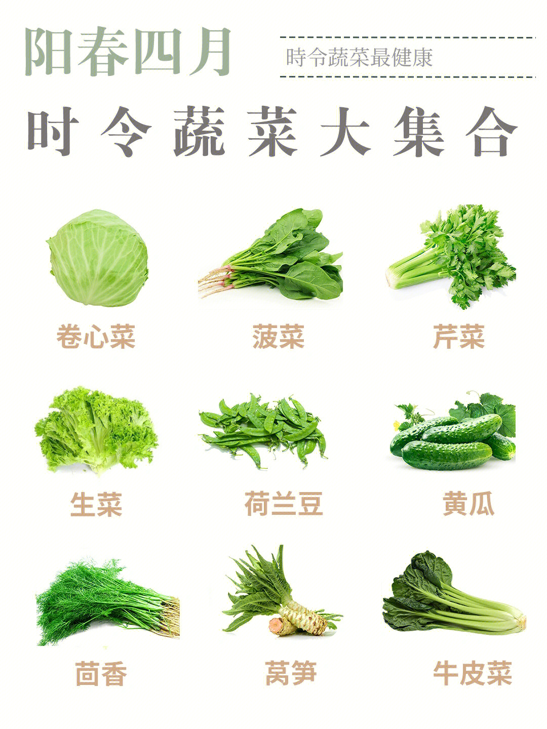 4月应季蔬菜图片