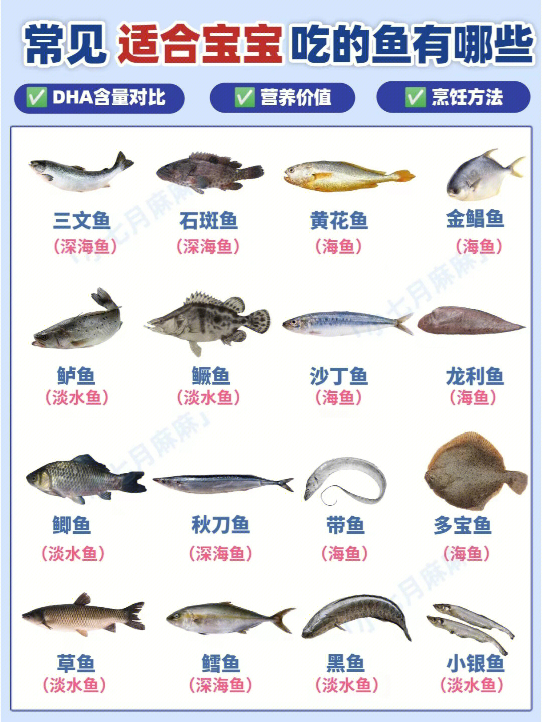 鱼的种类常吃图片