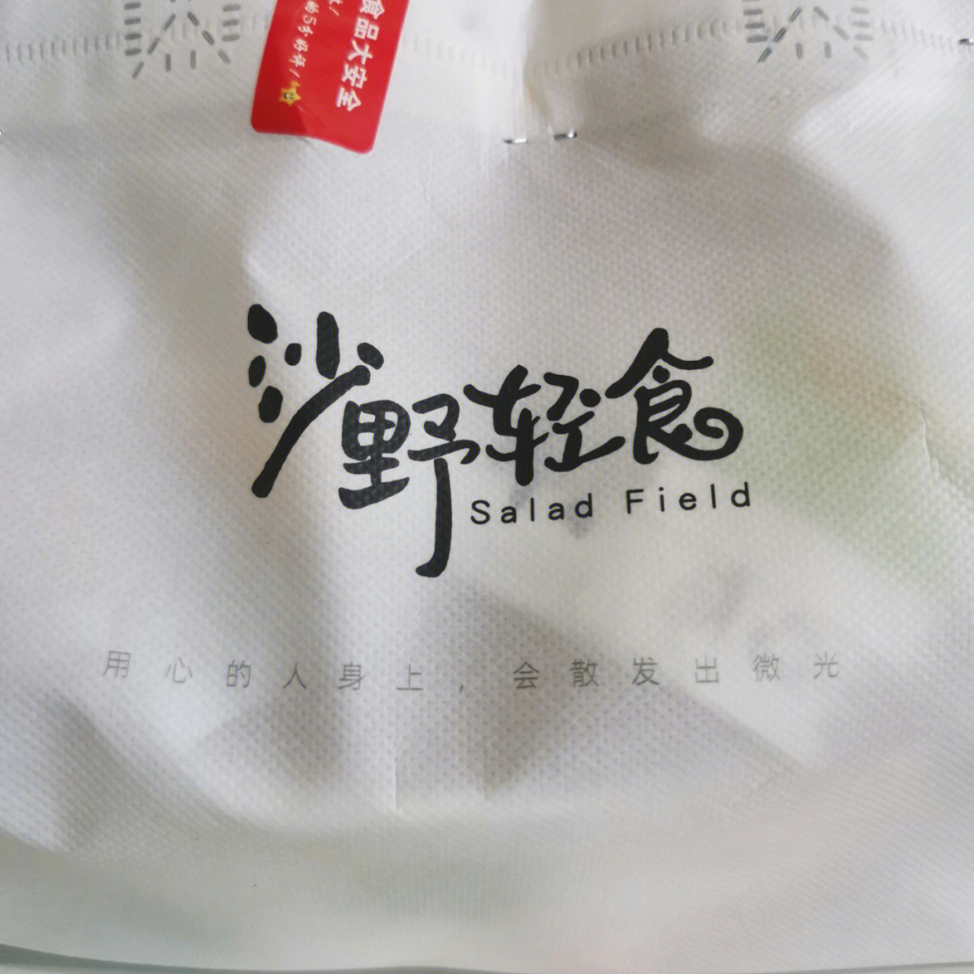 沙野轻食logo图片