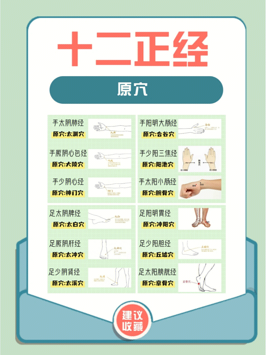 十二经络原络募表格图片