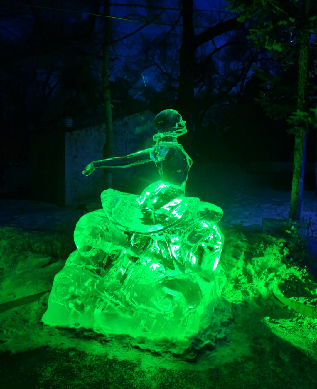 沈阳南湖公园冰灯图片
