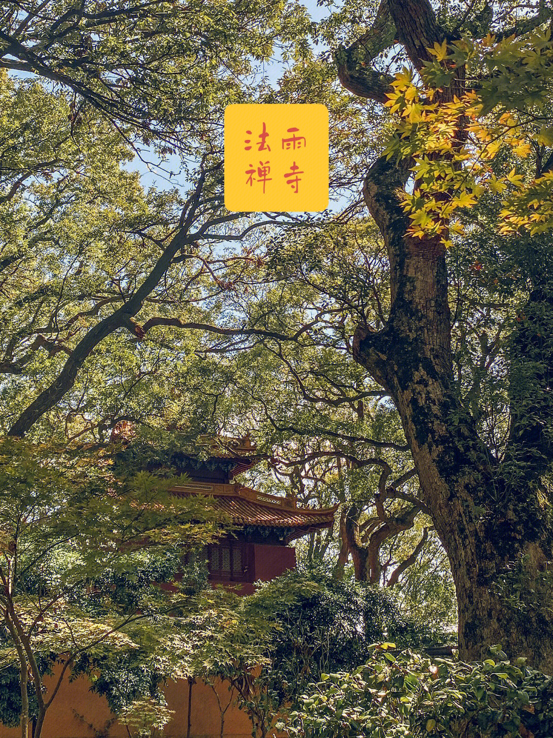 法雨寺禅寺