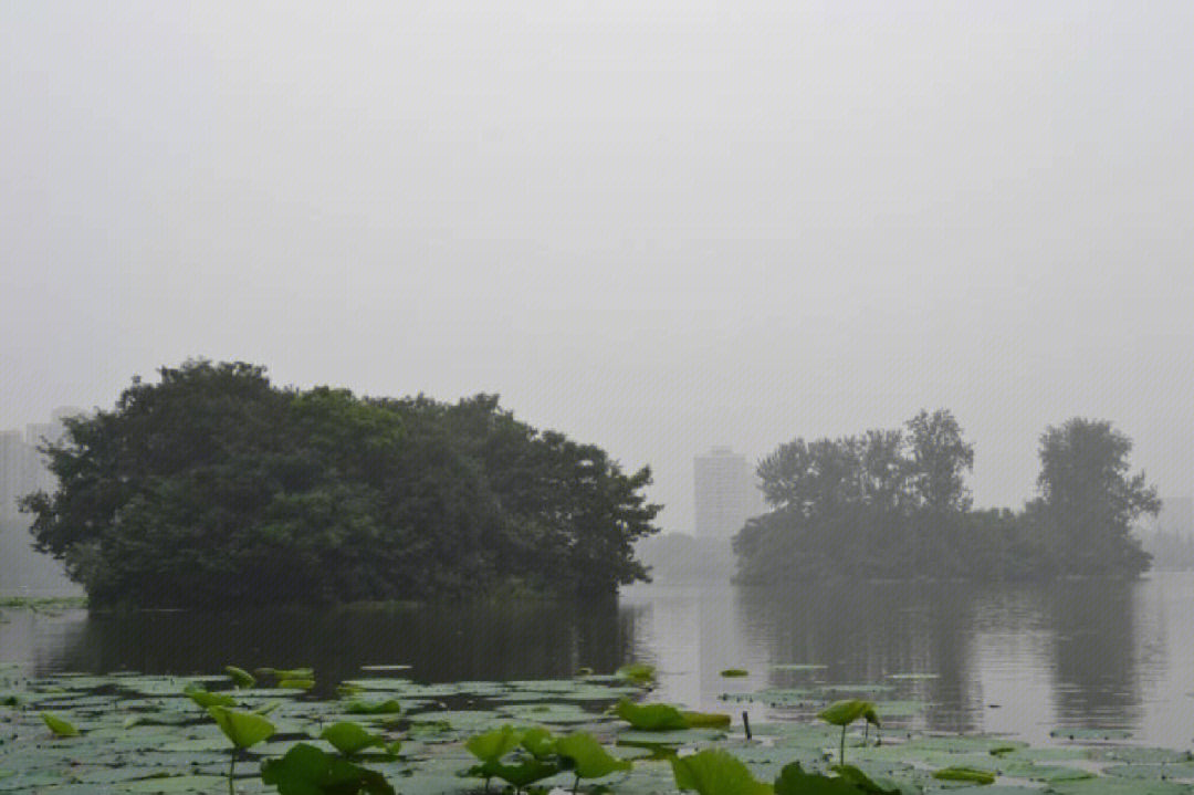 莫愁湖和玄武湖图片