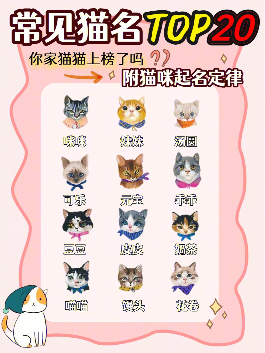 好听的猫咪名字100个图片