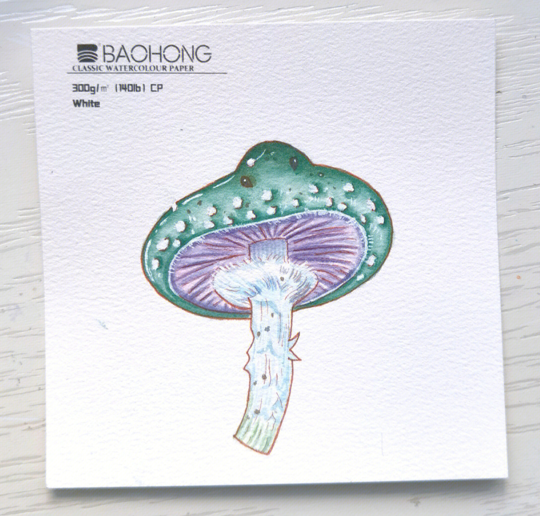 蘑菇水彩画教程图片