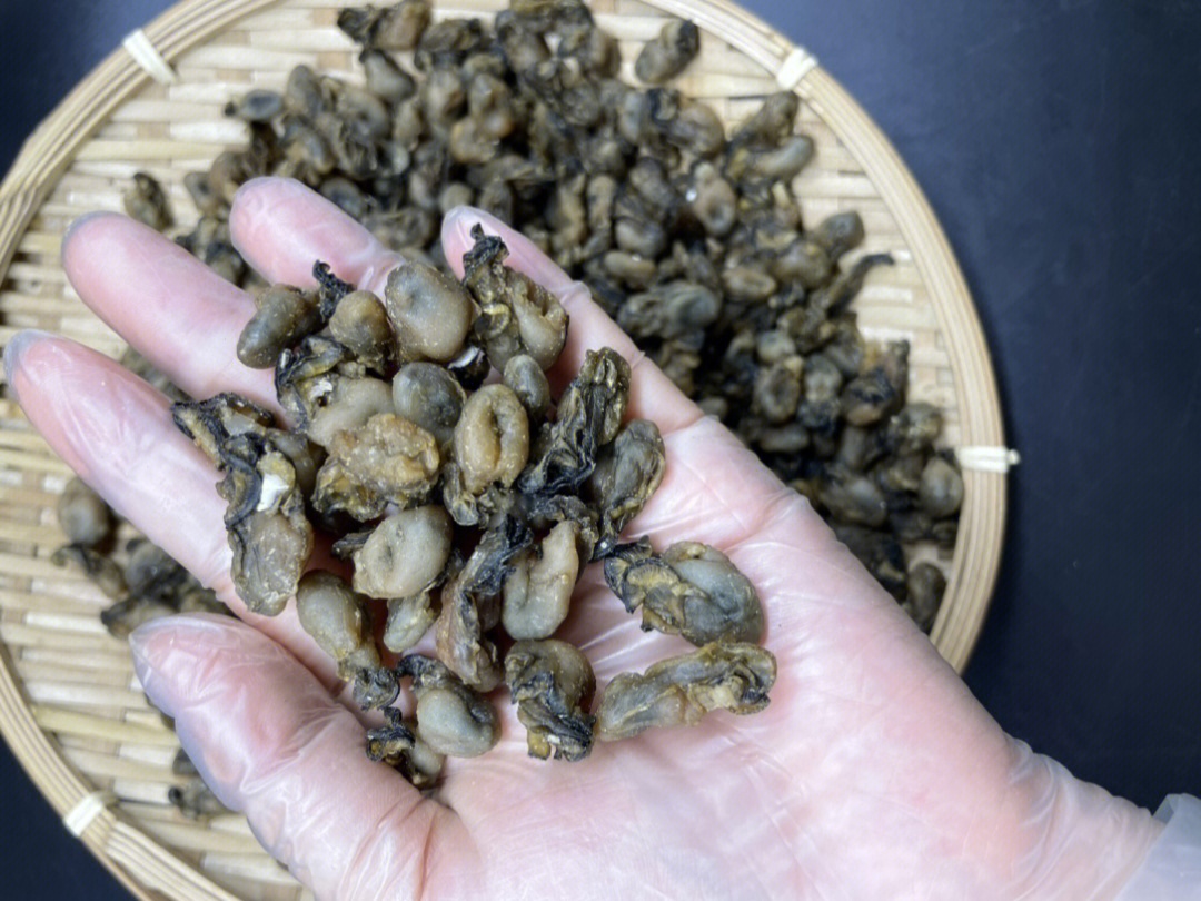 东山岛海鲜淡晒天然小海蛎干,小颗粒更好吃97,补锌补钙,9615