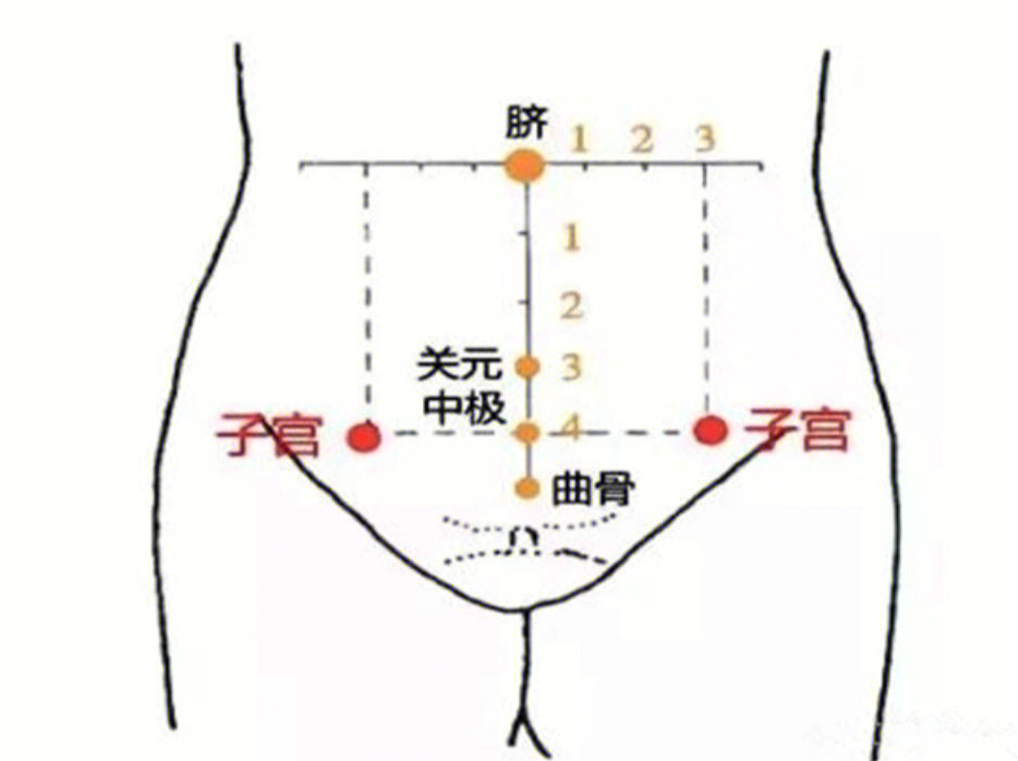 子宫离肚脐平面图图片