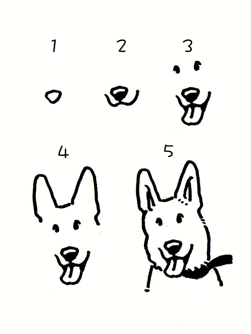 简笔画教程45步教你画你的狗德国牧羊犬