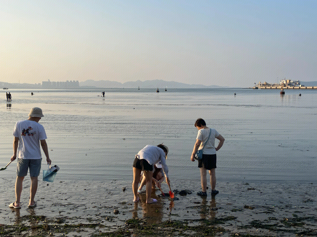 威海国际海水浴场赶海图片