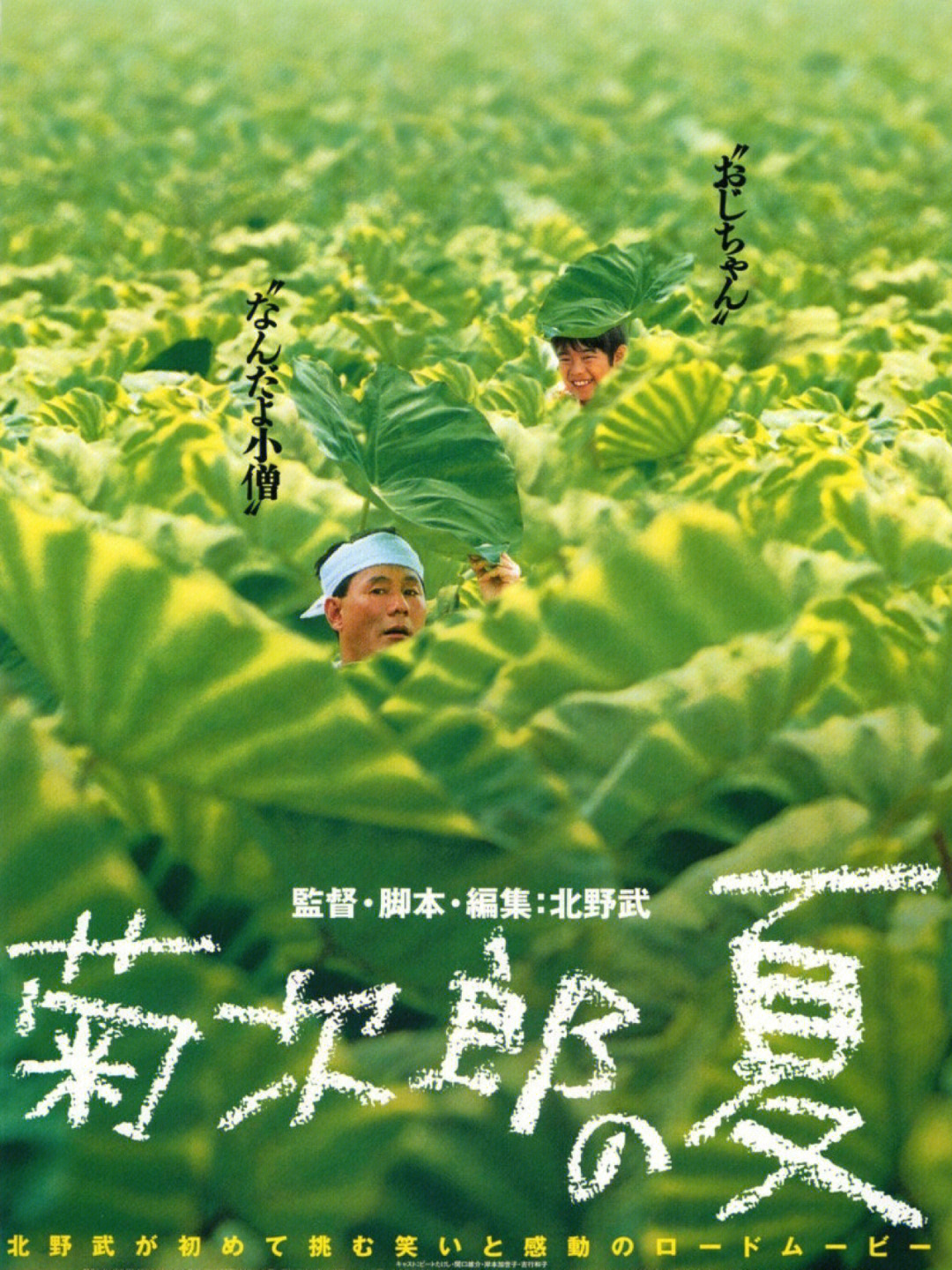 菊次郎的夏天手抄报图片