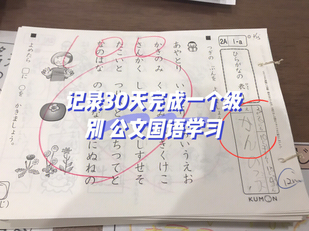 原本打算自己翻译好了原文,再陪孩子一起完成作业,谁知道,他们日语