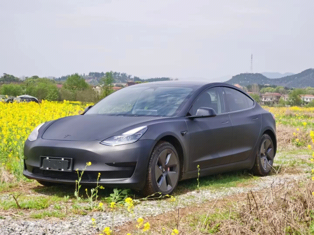 特斯拉model3标准续航后驱升级版