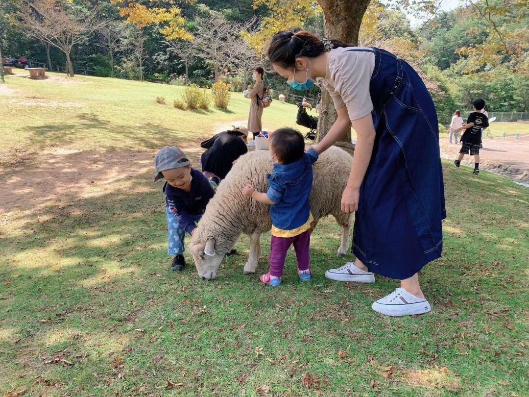 今天来六甲山牧场来玩了,孩子们玩的还是很开心的,但是那个山路十八弯