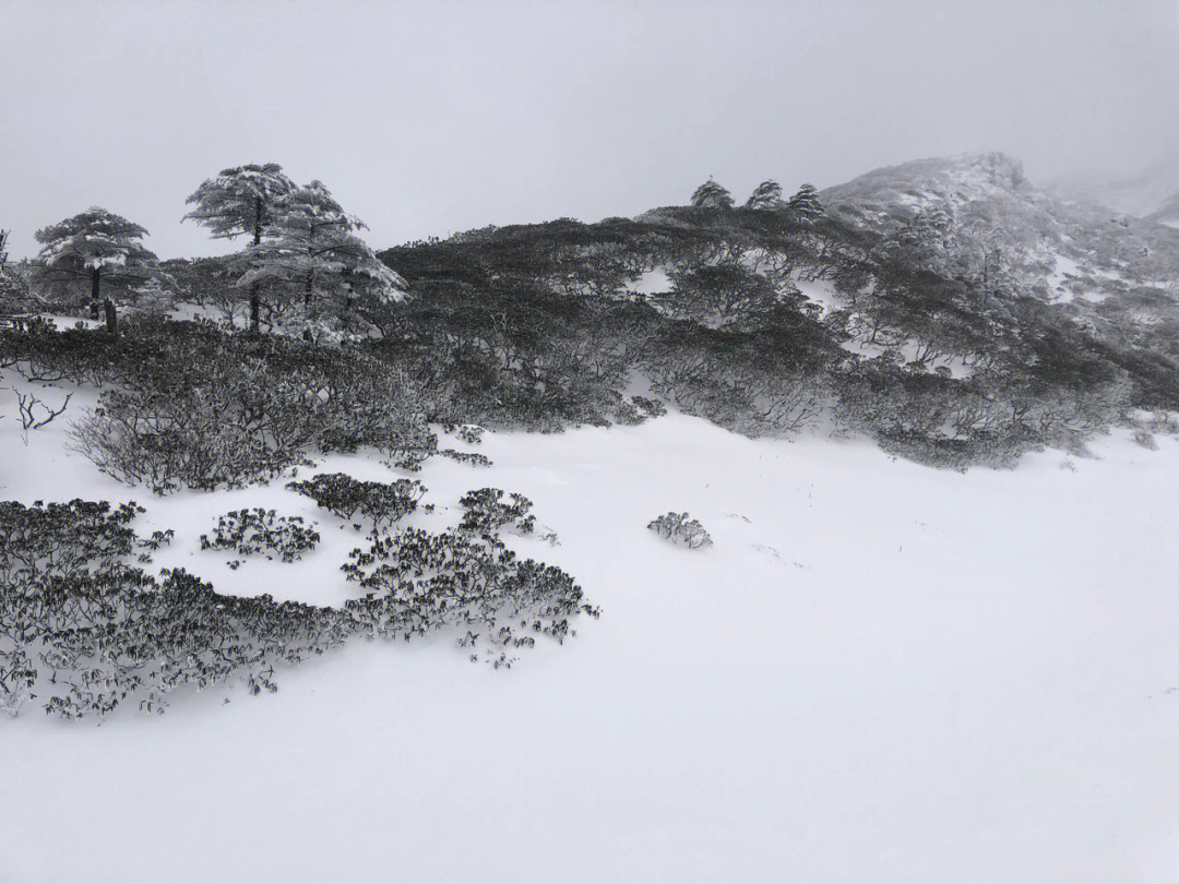 苍山无墨千秋画