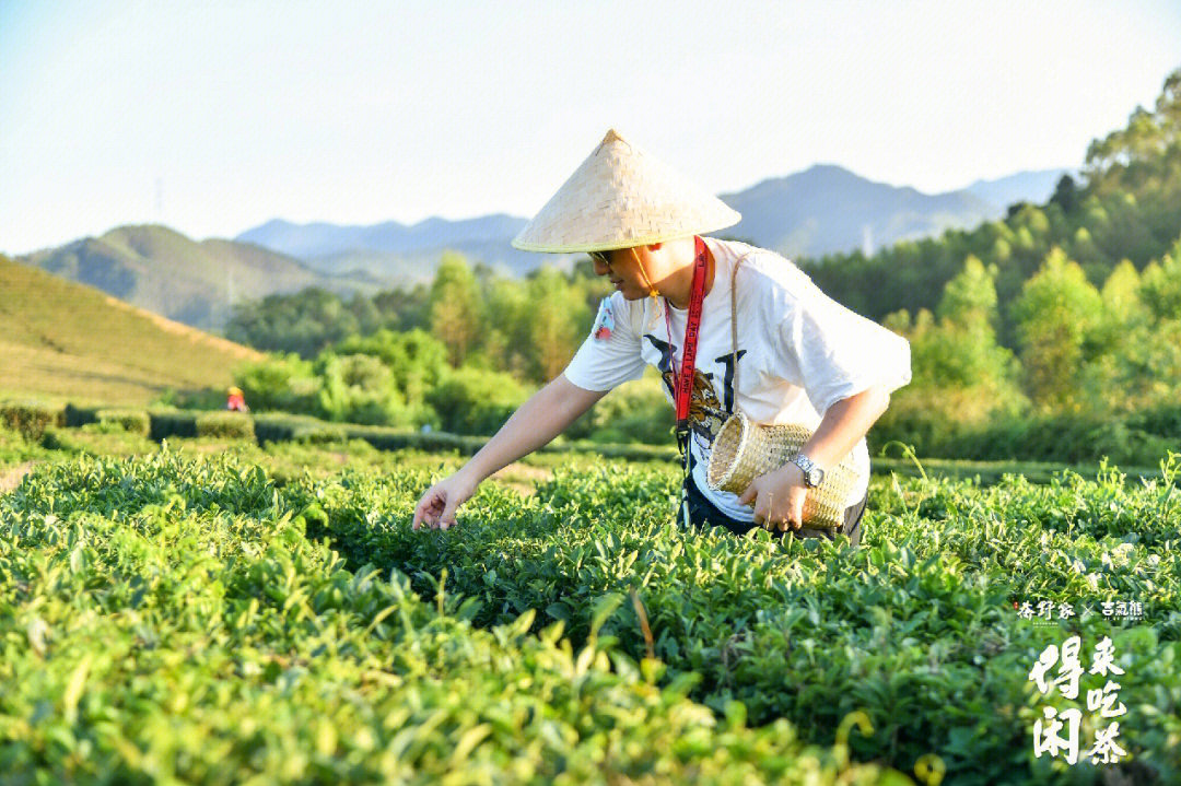 美国千年山图片