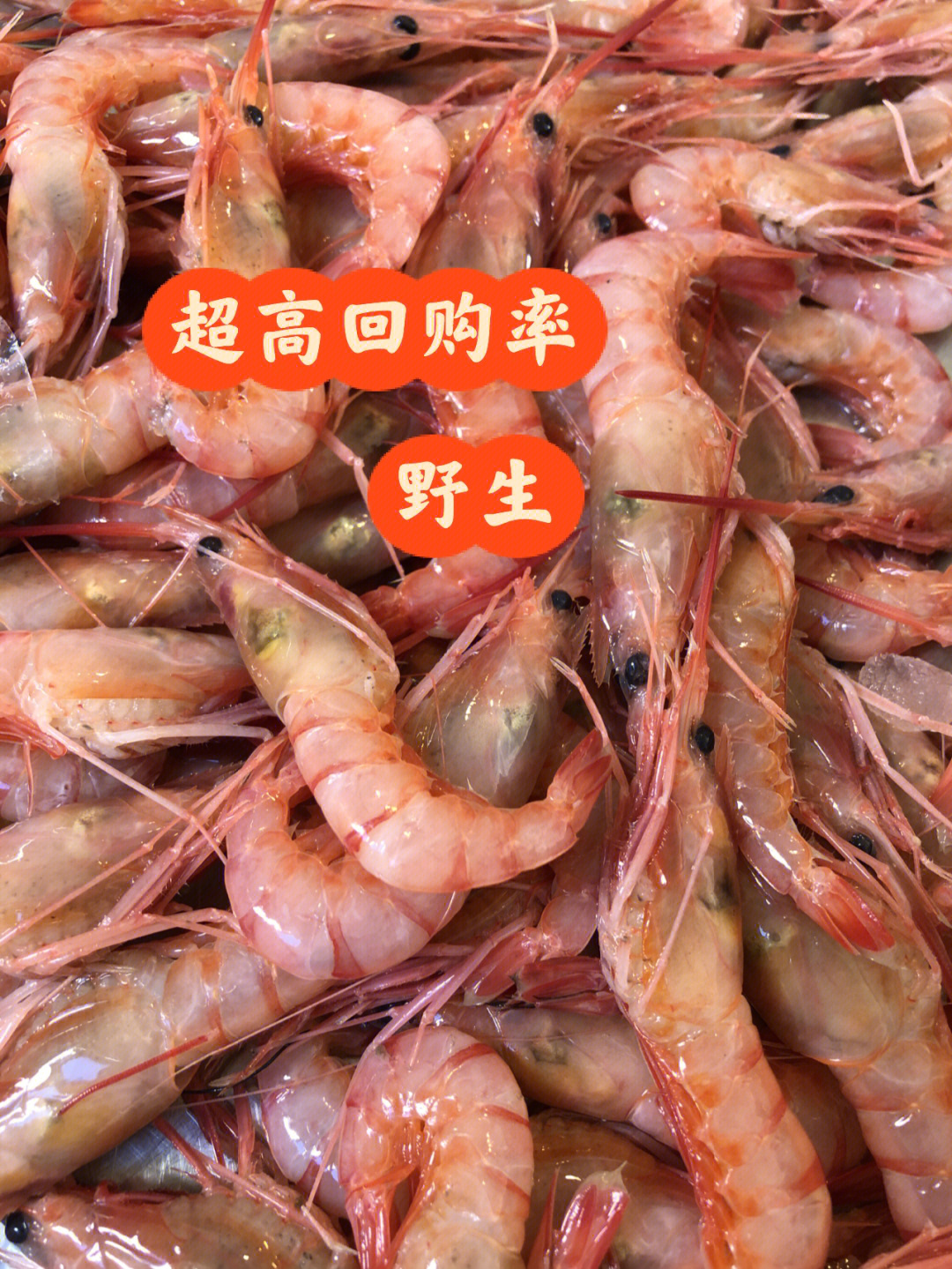 野生红虾仁价值图片