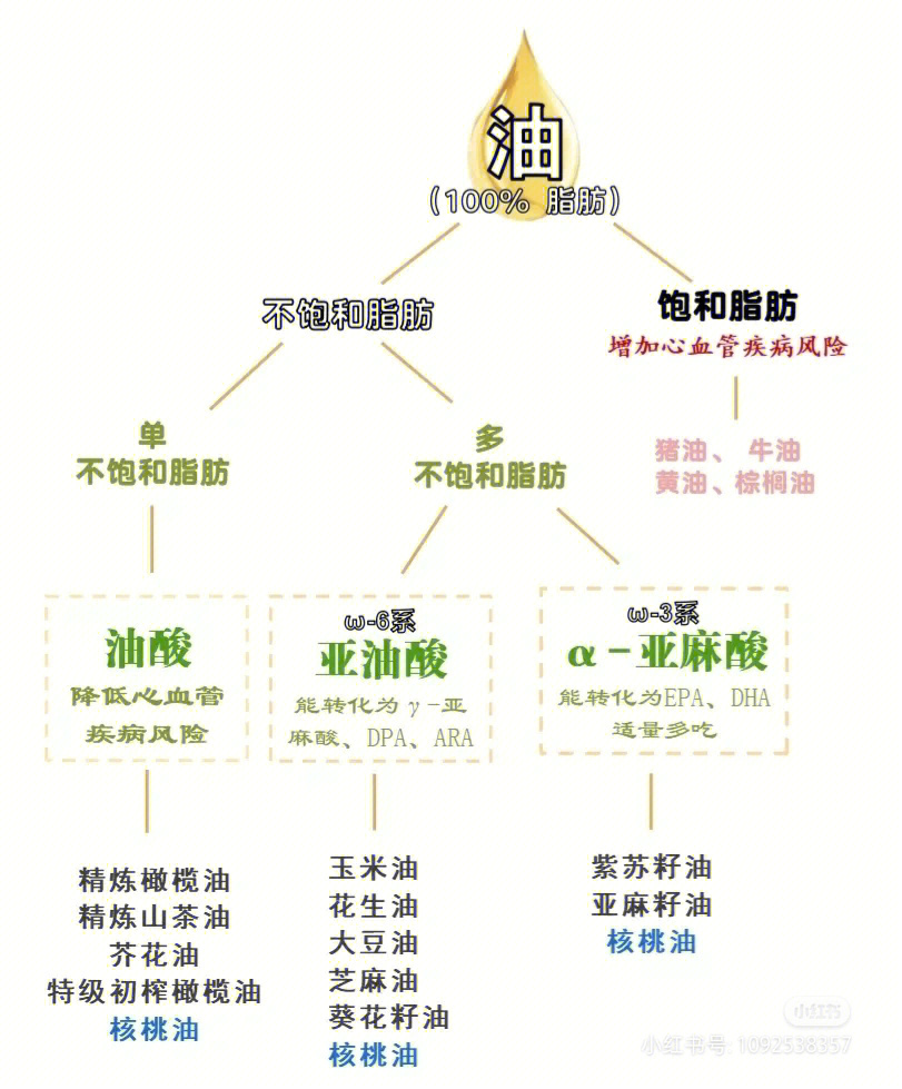 α亚麻酸对于减肥的机理