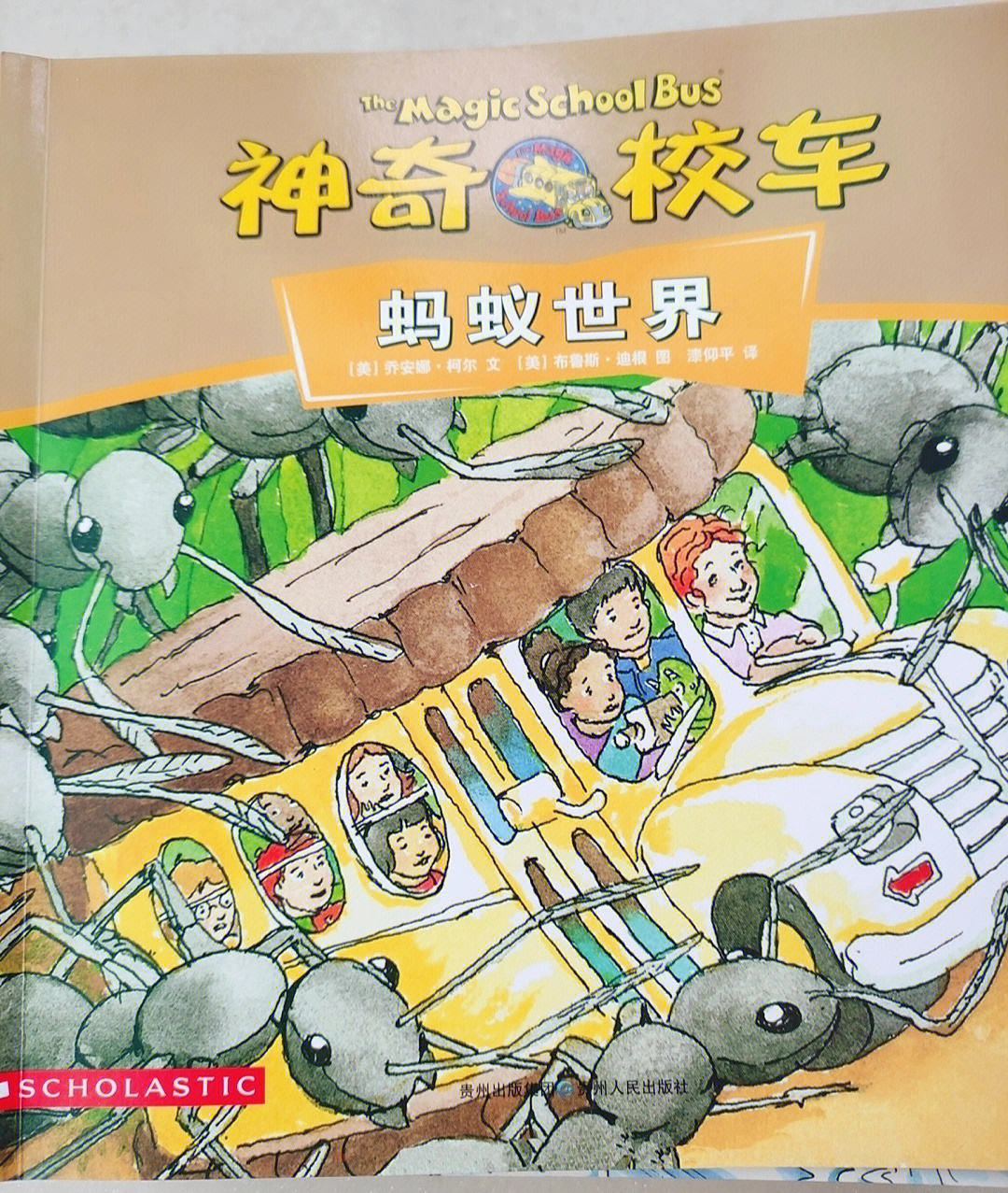 神奇校车中文版第一季图片