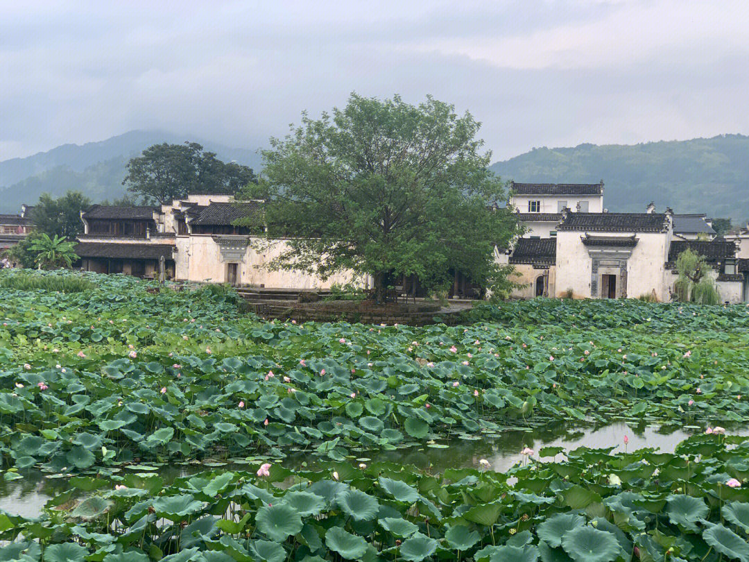 青黛色 词句图片