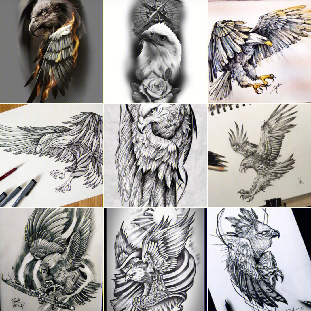 纹身鹰的含义 讲究图片