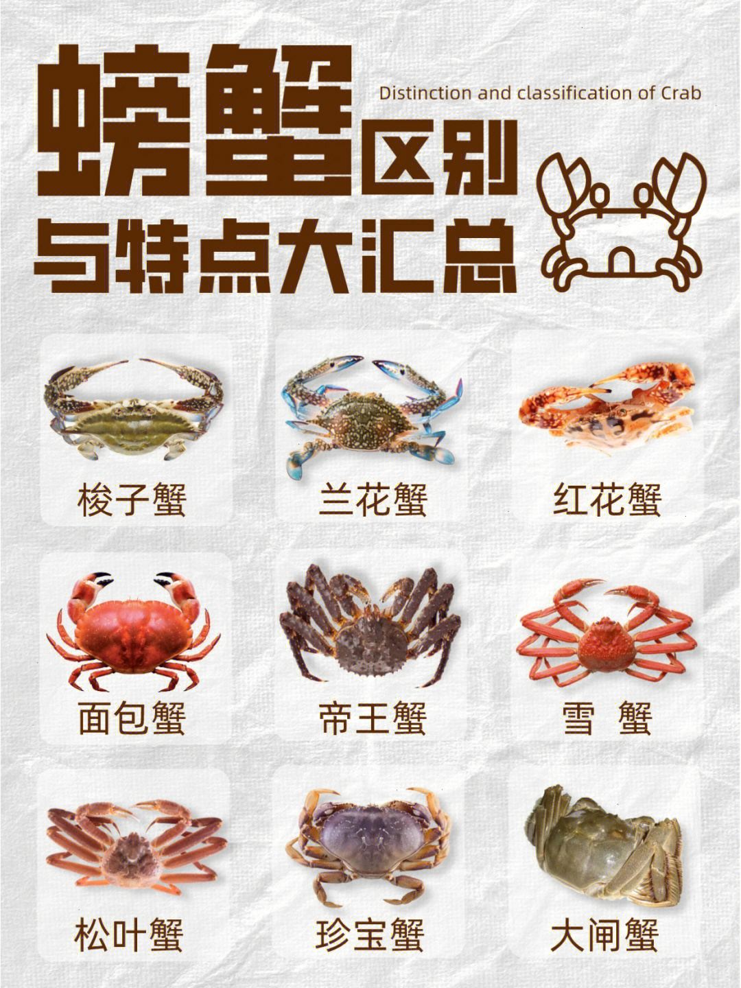 各种蟹的图片和名称图片