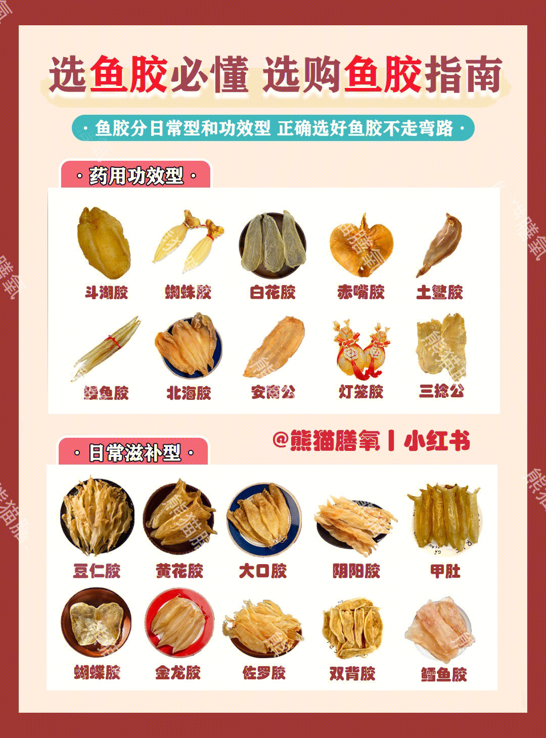 鱼泡的功效图片