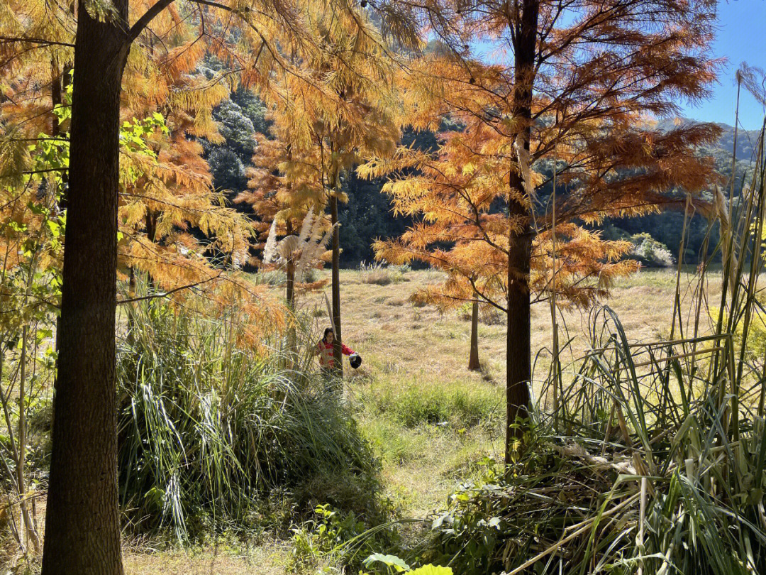 广州从化石门国家森林公园风景美如画