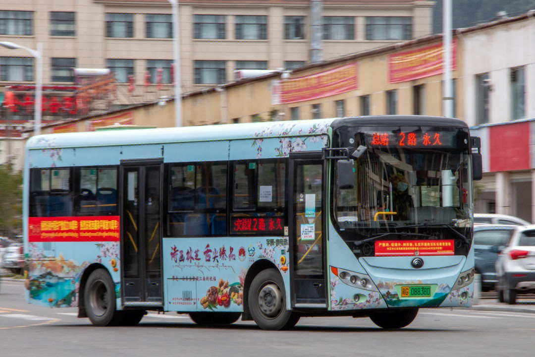 林芝2路公交车路线图图片