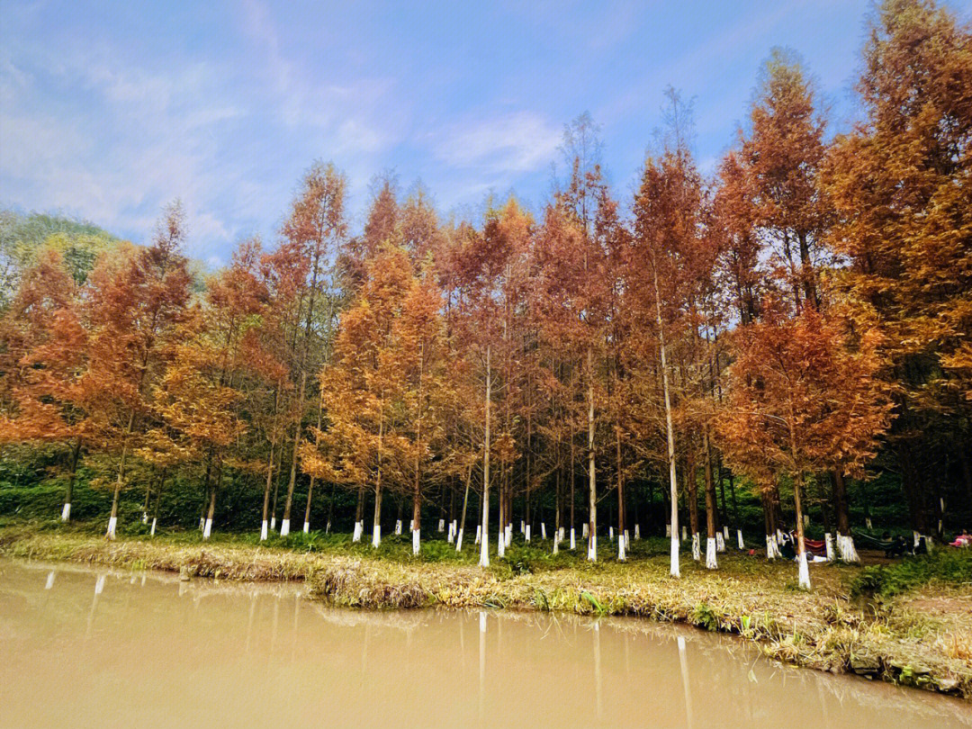 重庆拍照l阳光下的九曲河