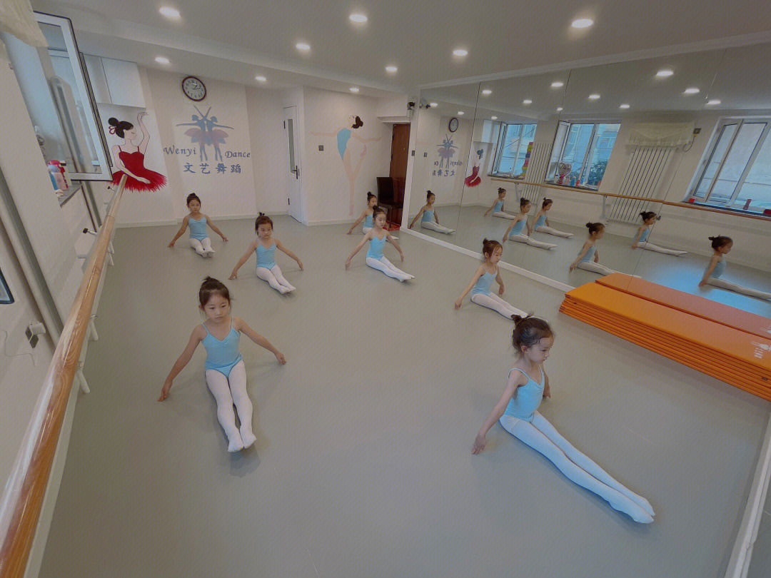 哈尔滨舞蹈学校_哈尔滨单招学校有哪些学校_哈尔滨舞蹈艺术学校