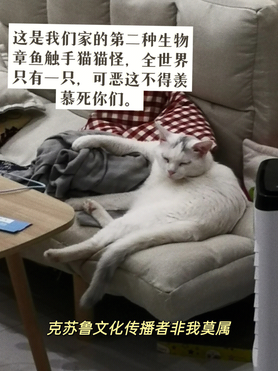 克苏鲁猫猫表情包图片