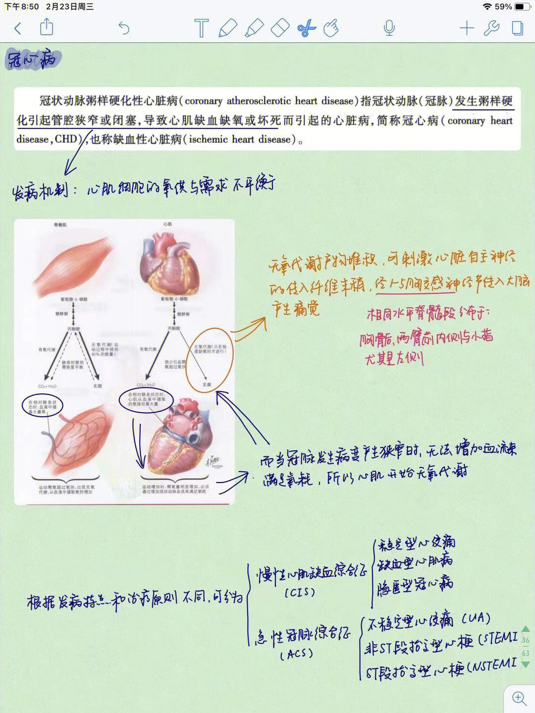 冠心病思维导图图片