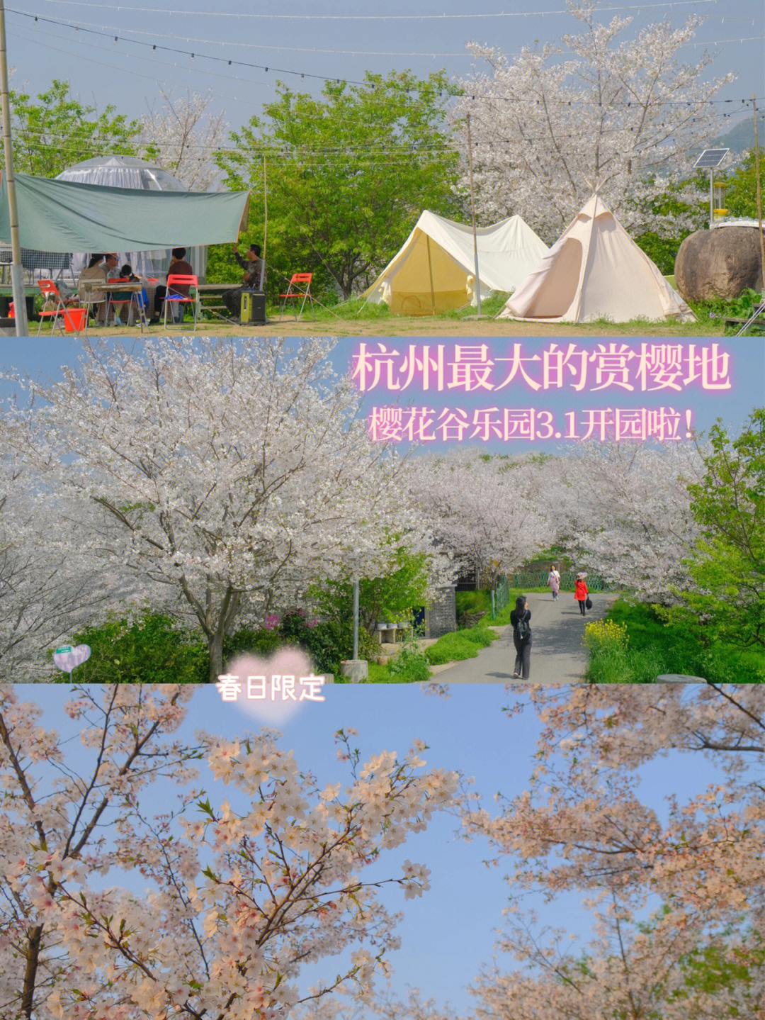 杭州樱花谷乐园照片图片