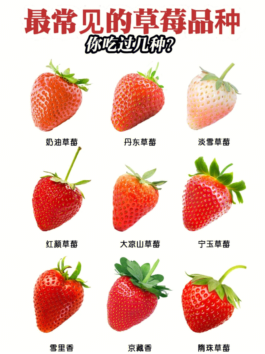 甘露草莓品种介绍图片