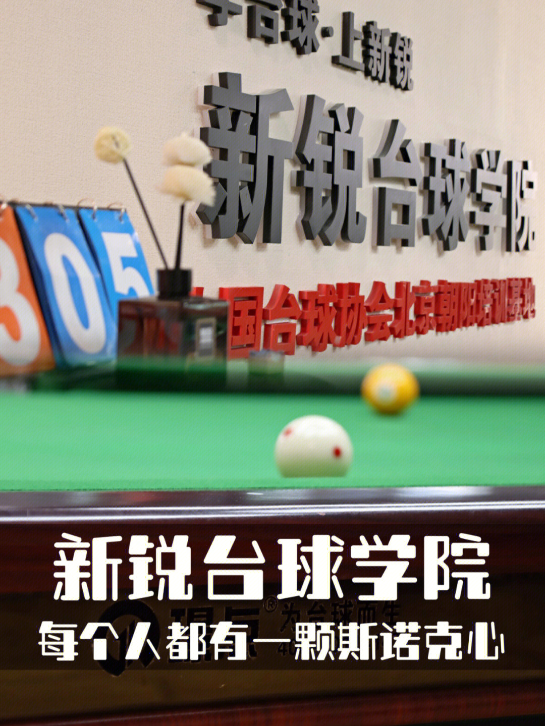 北京新锐台球学院图片