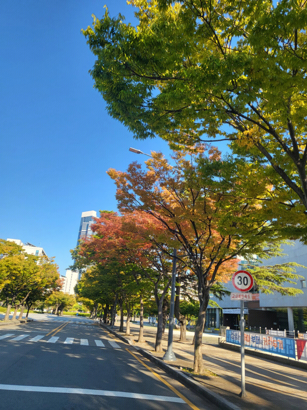 韩国釜庆大学qs图片