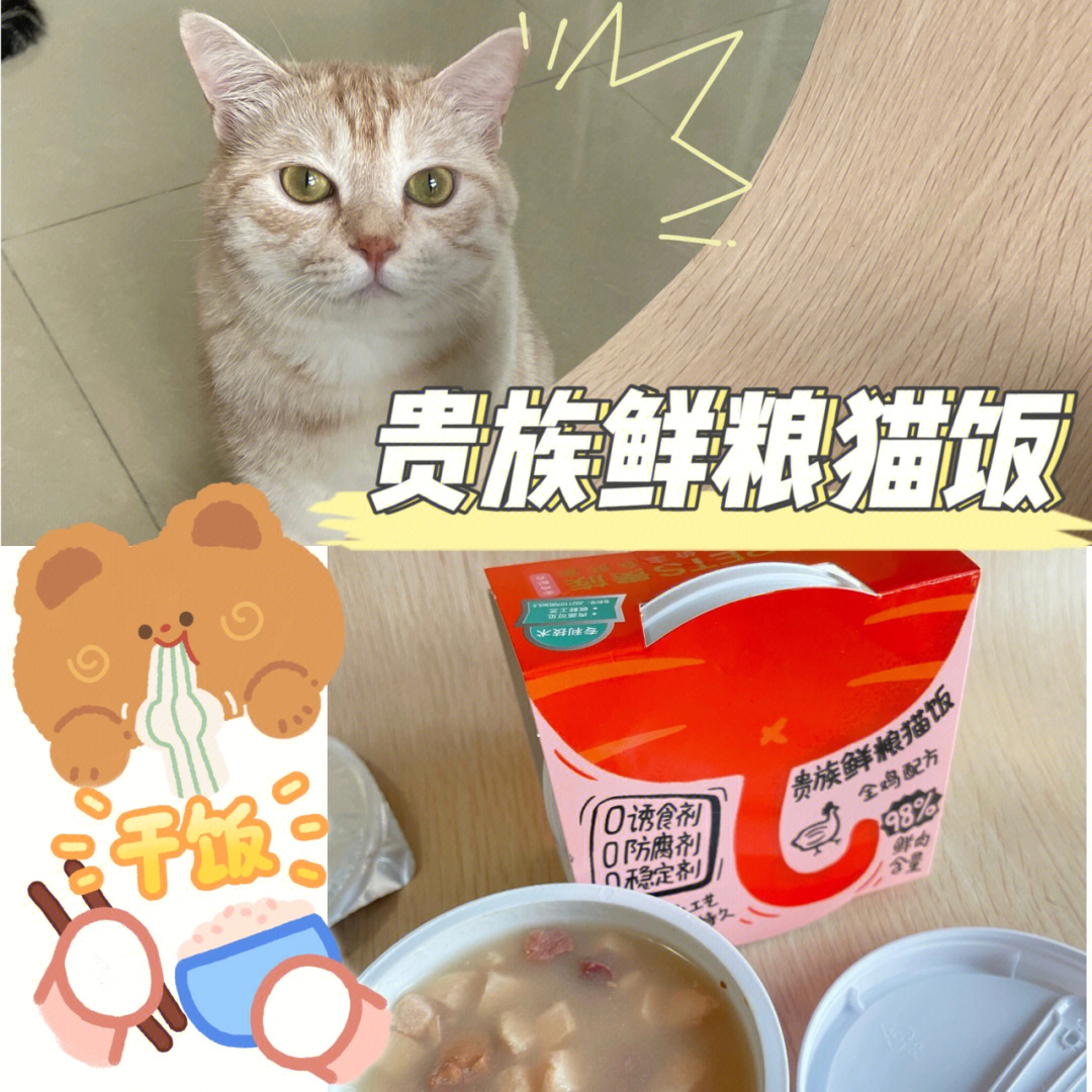 鲜到你想做只猫的贵族鲜肉猫饭