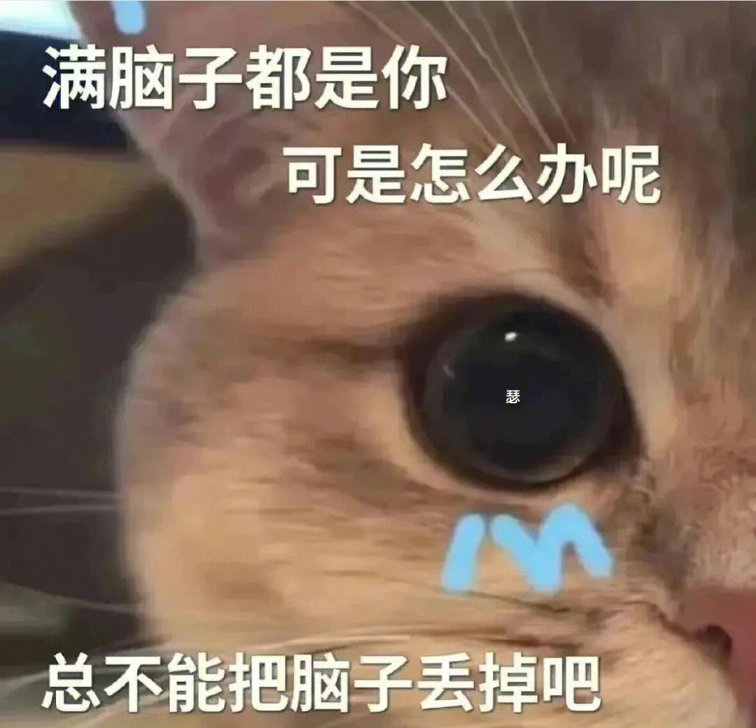 恋爱选择题表情包图片