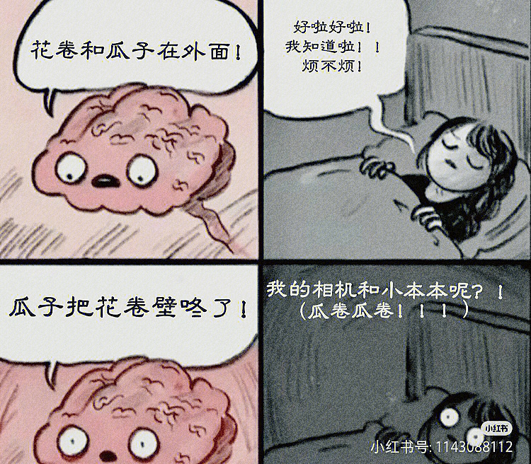 历史喵年糕x瓜子图片