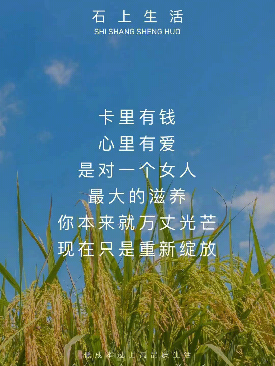 你本来就万丈光芒