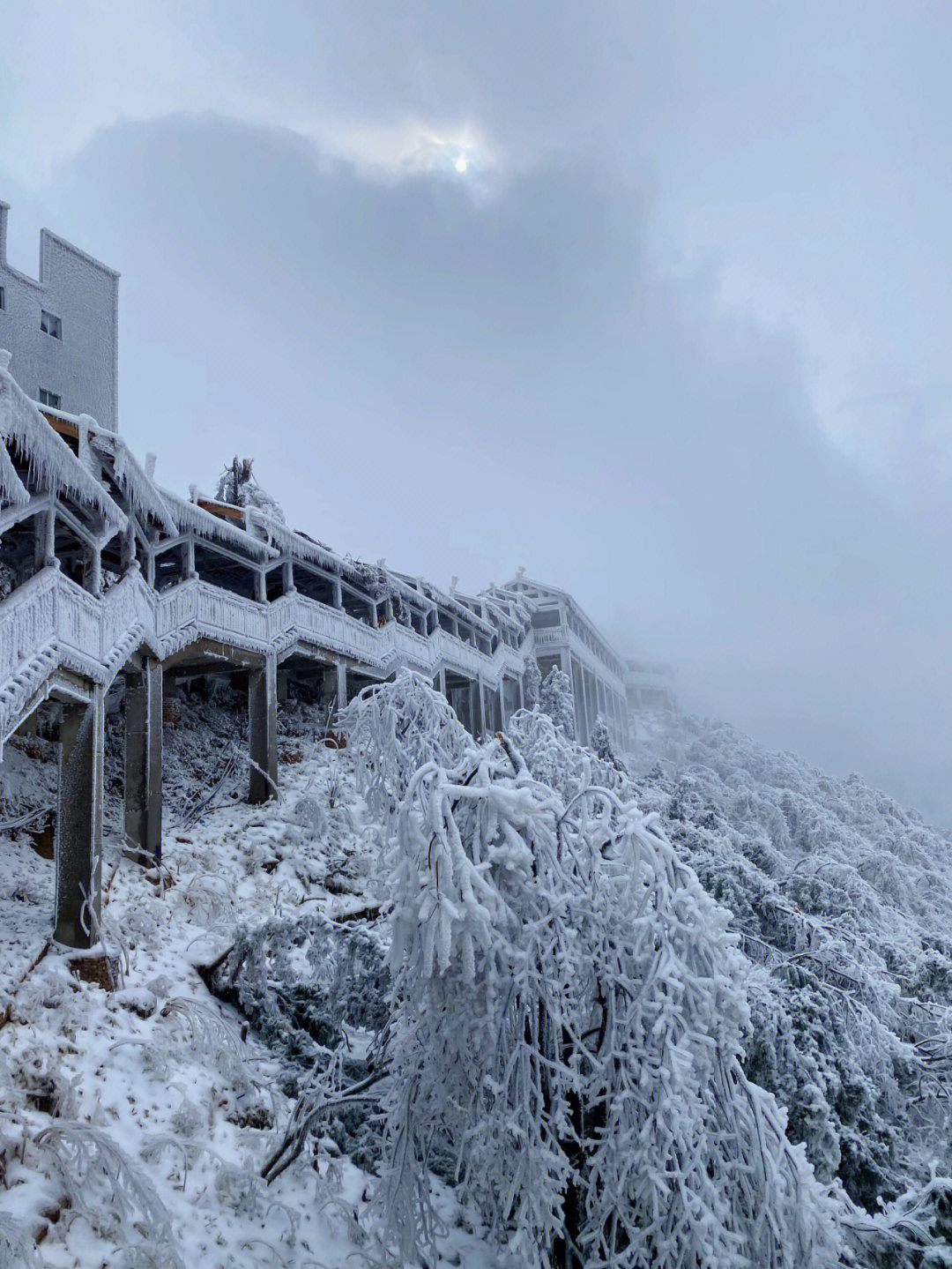 南岳衡山#雾凇 累,但是很值得